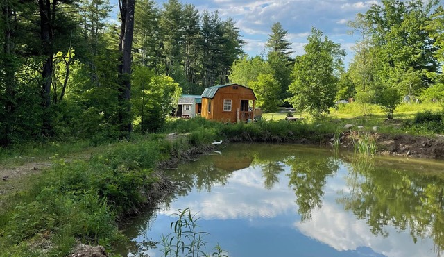 HideAway Tiny Cabin. In the Mountains AC Bathroom. Shower. Dog Friendly.