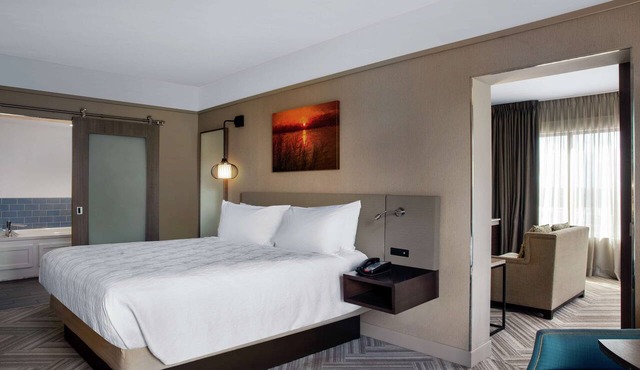 Hilton Garden Inn Mobile Downtown