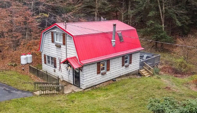 Hungry Hollow Hideaway - escape to this modern cabin on 15 acres in Great Valley