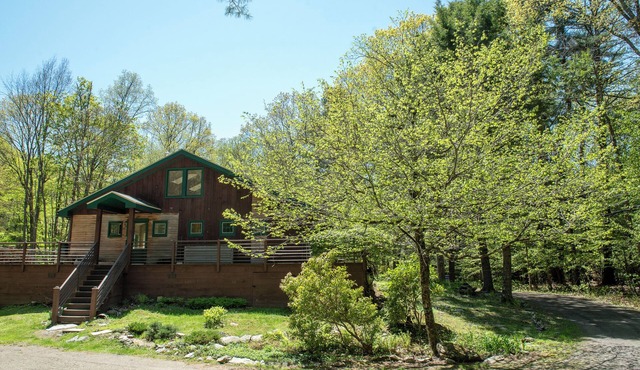 It's time to FALL in Love with Upstate!