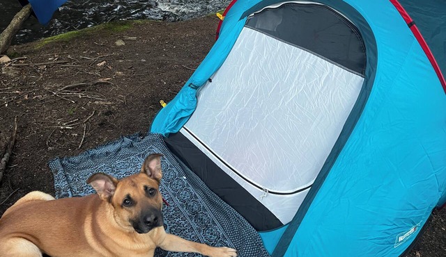 Kucibarix Forest Camping Near Bethel Woods, 15 minutes to Bethel Woods, Casino,