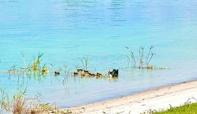 Lake Denton’s Lakeside Getaway ll Spring Fed Lake, 15 miles to Sebring Raceway