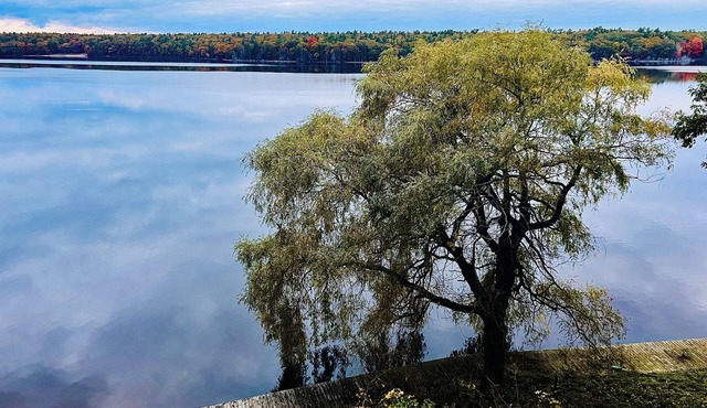 Lakeside Retreat - Peak Fall Colors, Fire Pit, Hiking, Near Lake MI