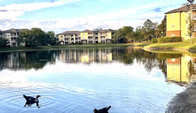Lakeview Apt Close to Beaches, Airport, Downtown!