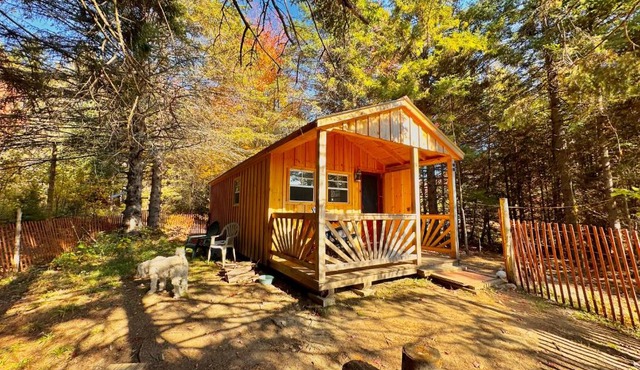 Lookout Cabin in Barton
