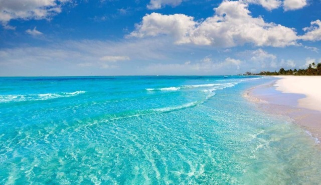 Lux private bedROOM w private bath apartment in enchanting Pensacola w WiFi, AC
