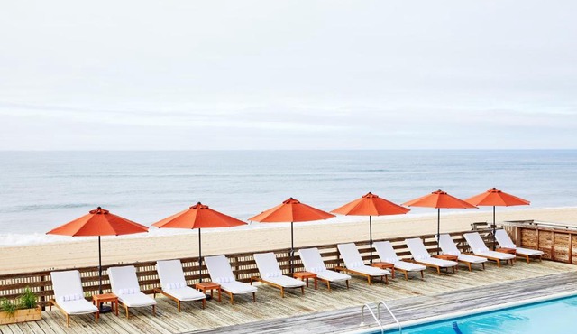 Marram in Montauk