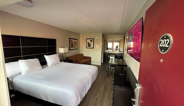Modern Studio with King Bed and Queen Sofa Sleeper In Central Baton Rouge