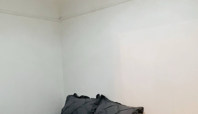 New modern 4bed apt in trendy Queens near AirTrain