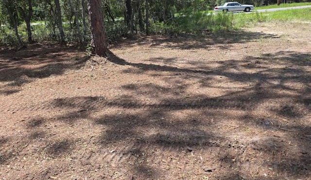 Nice 4,000 sqft vacant lot perfect for camping or weekend get away will need to bring your own tent or camper