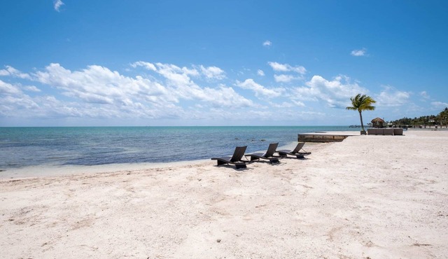 Oceanfront 2 Homes | Private Beach & Pool | 3 Acre
