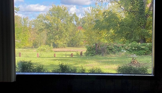 Okon's Underground Rental Battle Creek scenic venue pond/river 70's wildlife