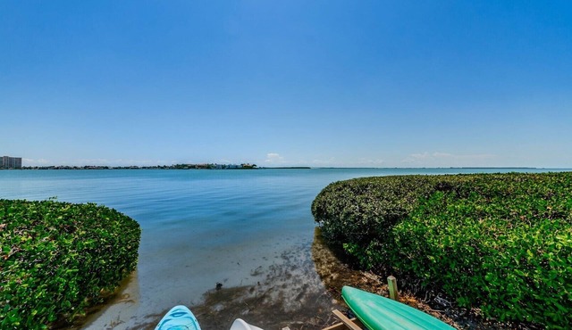 Palma 'Beautiful Mornings' on Boca Ciega Bay