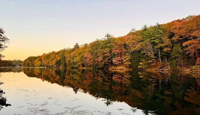 Peaceful Catskills Creek House