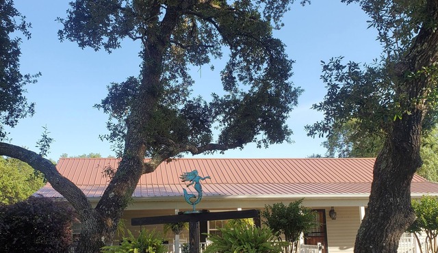 Perfect getaway home for the holidays! You can even bring the furkids