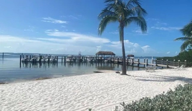 Pool, Beach and Tennis Court! Fishing, swimming and relaxation!