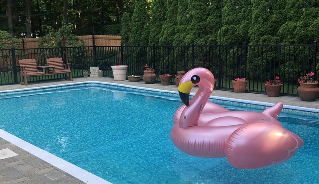 Pool, Spa, Private Backyard, Perfect City Escape!