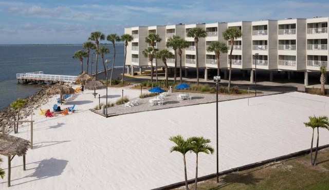 Pool View in Tampa Bay