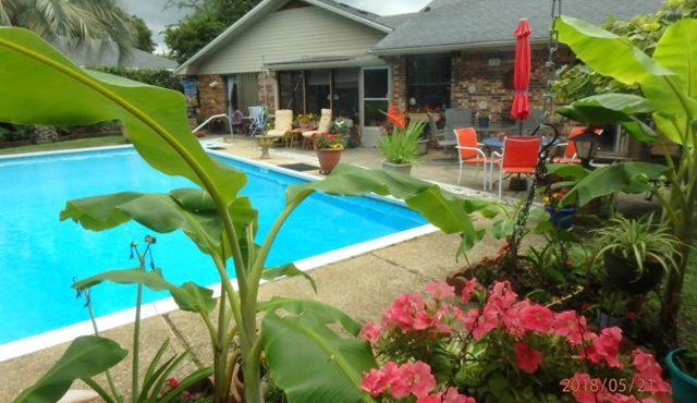 Poolside Paradise