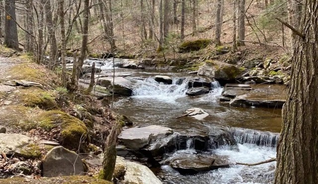 Private Creekside Oasis - hot tub,hiking,breweries!