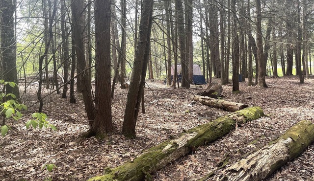 Raw Camping.