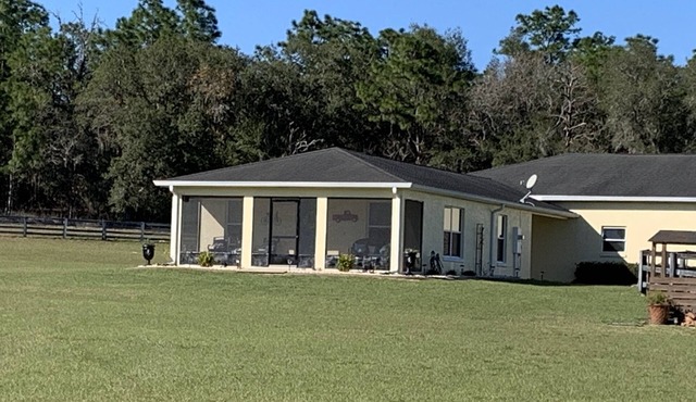 Relax at our guesthouse on a 13 acre horse farm.