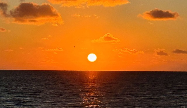 Relaxing Gulf Coast Apartment Near Beaches Free Bikes