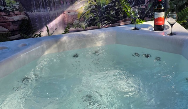 "Romantic home with jacuzzi, 10 minutes from Clearwater Beach