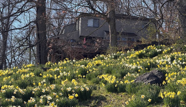 Scenic & Serene: 3BR/3BA w Panoramic Hudson Views! A Birder's paradise