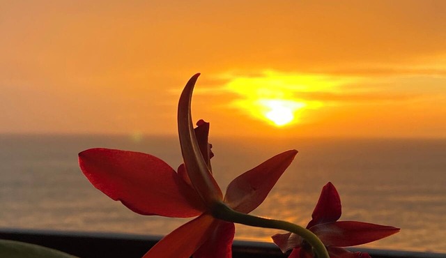 SEA WINDS 1201 Beach Front Getaway with spectacular views of the Gulf!