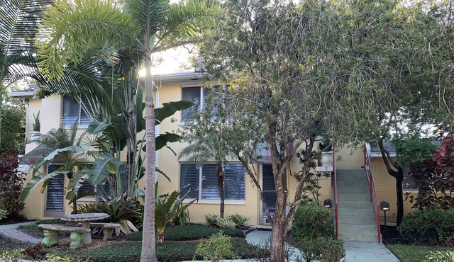 Serene Apartment in Historic Hyde Park South Tampa