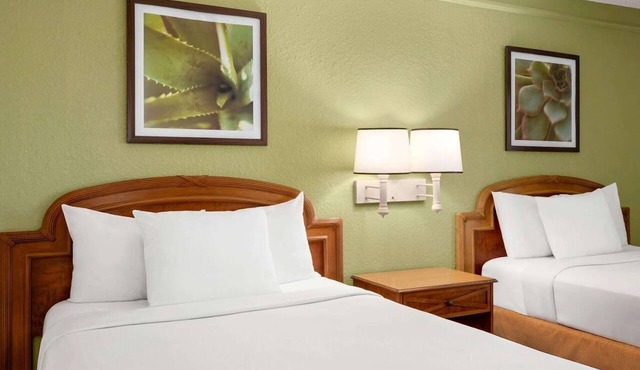 Soho Inn & Suites