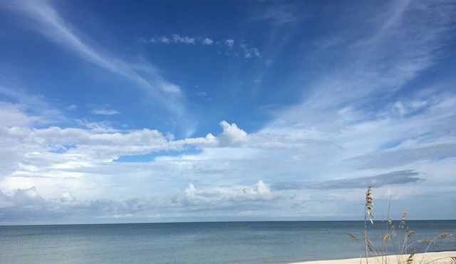 Spotless & Spacious! Walk to Delinor-Wiggins State Park/Vanderbilt Beach
