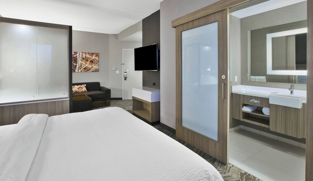 SpringHill Suites by Marriott Chattanooga North/Ooltewah in Ooltewah
