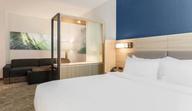SpringHill Suites by Marriott Tallahassee North