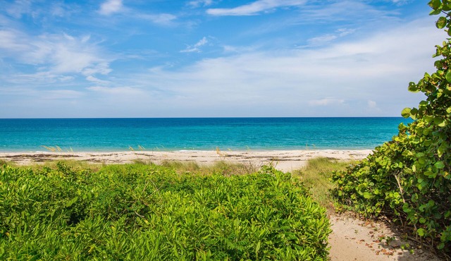 Steps to Pristine Beach. Prime Location. Hidden Gem.