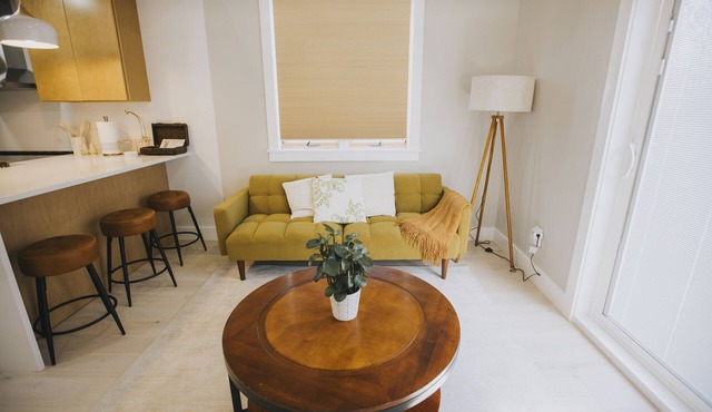 Stunning and Cozy loft apartment in kingston .
