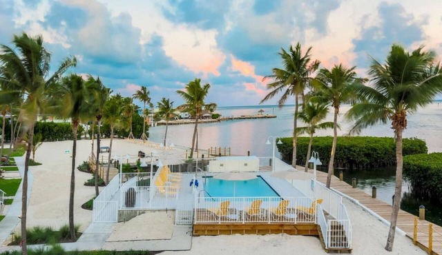 Swim with Dolphins in the Florida Keys! FREE Breakfast & Parking, Marina, Pool!