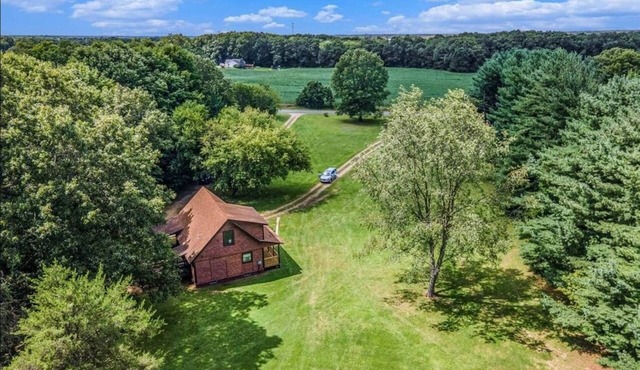 Tall Pine Haven - 9 acres, king bed, dog friendly!
