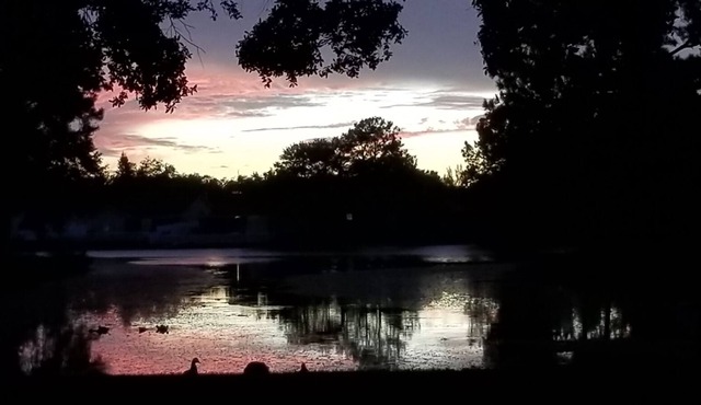 TAMPA VACATION HOME CLOSE TO EVERYTHING!