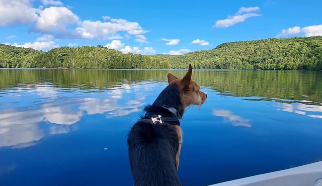 Tranquil Comforts Lake Front Paradise in Val-des-Monts