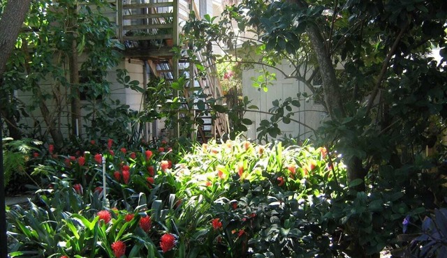 Treehouse 1BR Apt. Near Downtown, Monthly Only