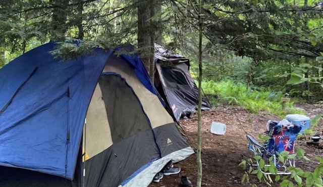 Turey Forest Camping Near Bethel Woods - 15 minutes to Bethel Woods, Casino,