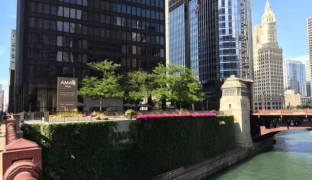Visit Chicago! 4 Modern Units near 360 Chicago and Oak Street Beach! Parking! in Chicago