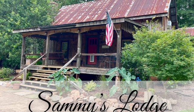 Waterfront Rustic Country Cabin Retreat-Dog's Welcome! in Bowdon