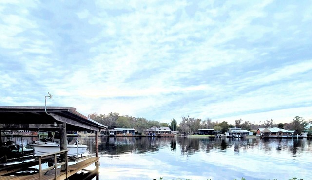 Welcome to your Waterfront Oasis! Enjoy relaxing steps from the St.John's River.