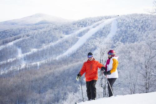 Windham Ridge Chalet
