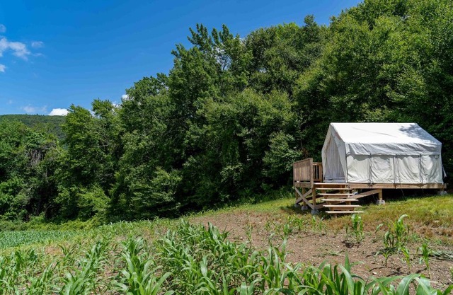 Tentrr State Park Site - Taconic State Park High Valley Rd Site A in Copake