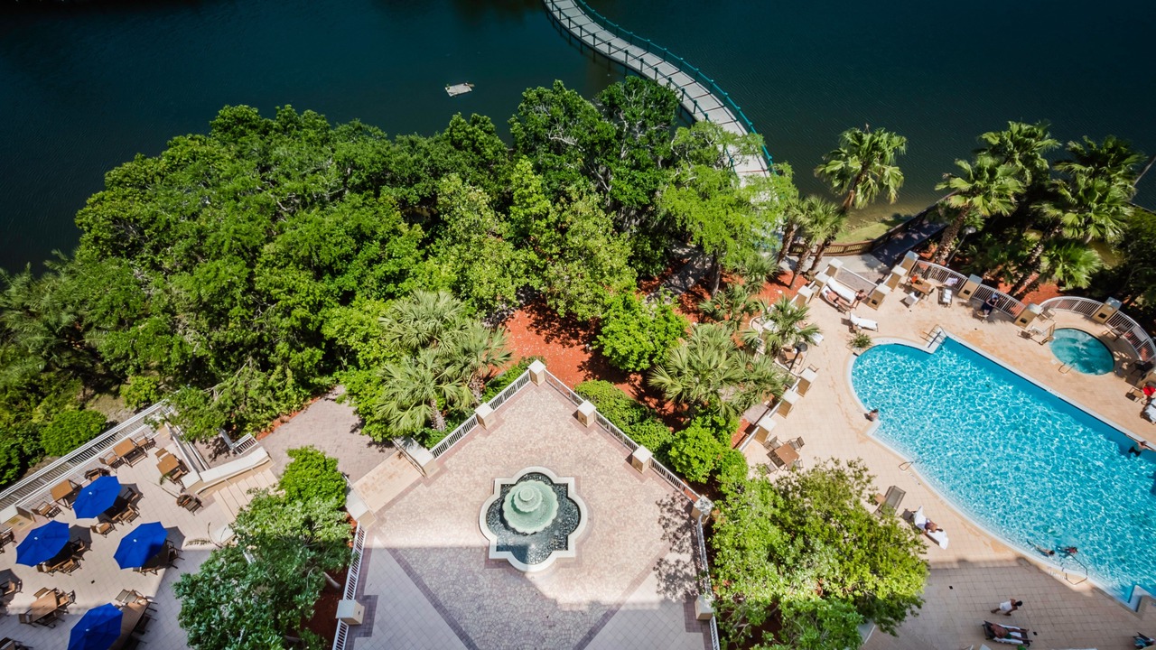 Photo of Outdoor in St. Petersburg - Clearwater
