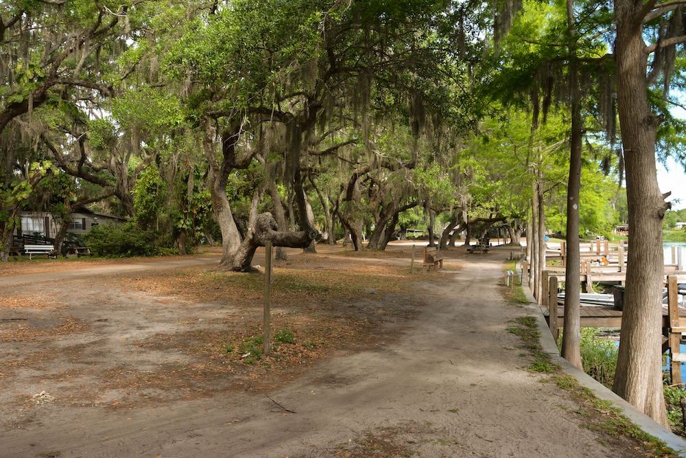 Photo of Outdoor in Fedhaven